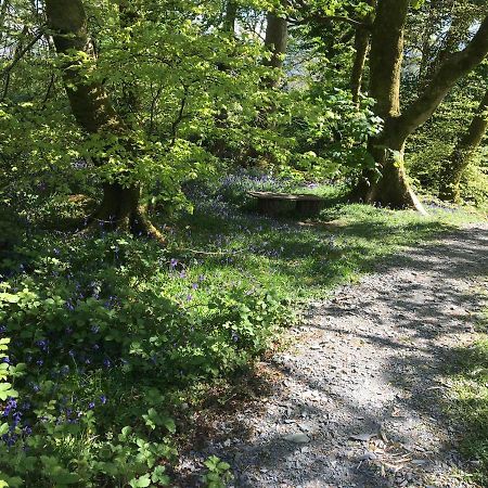 173A Woodland Way Hotel Porthmadog Luaran gambar